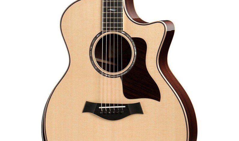 Taylor Guitars – Premium 800 Deluxe Series