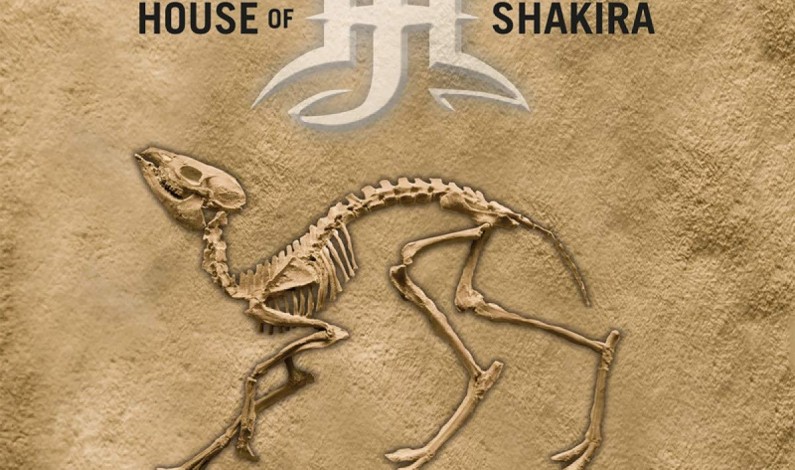 House of Shakira – RADIOCARBON