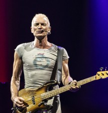 Sting – Fields of Gold