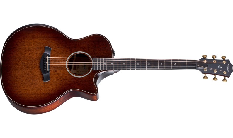 Taylor® Guitars Launches Historic Urban Wood Initiative With Its New Builder’s Edition