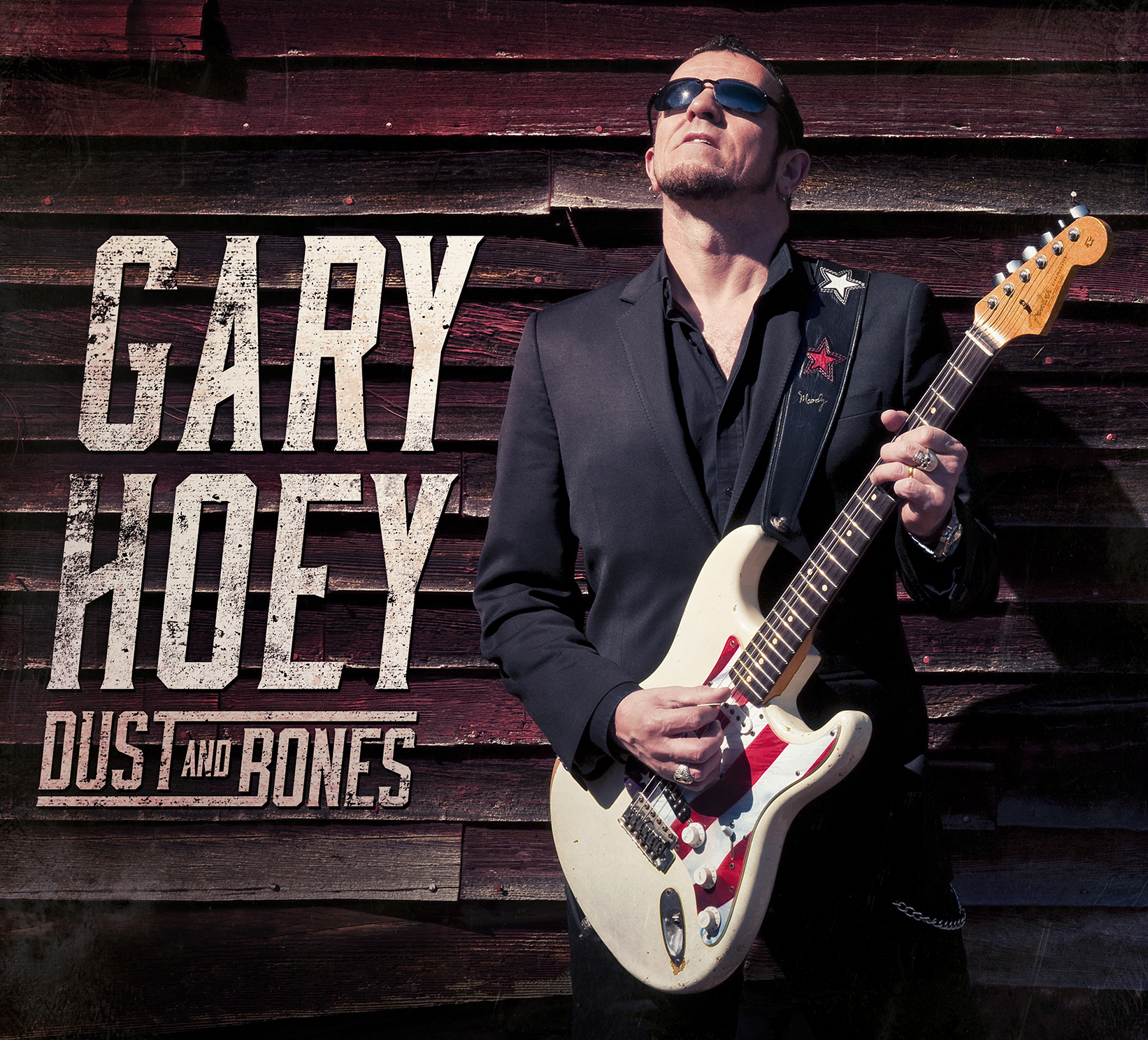 Gary Hoey Dust and Bones Cover
